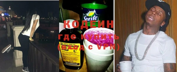 крисы Няндома