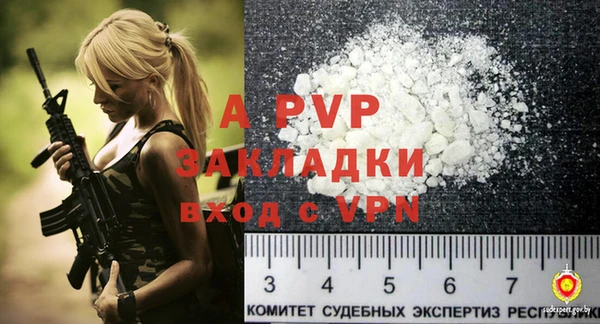 крисы Няндома