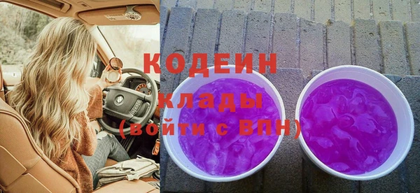крисы Няндома