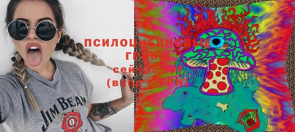 крисы Няндома