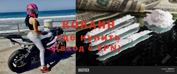крисы Няндома
