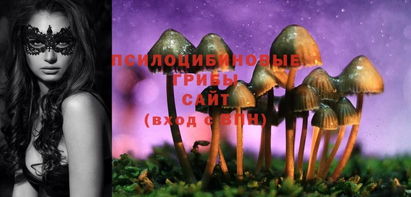 крисы Няндома