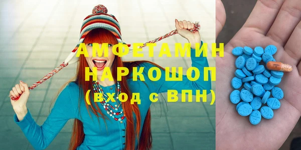 крисы Няндома