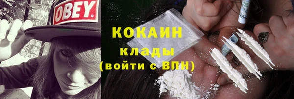 крисы Няндома