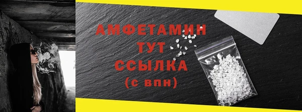 крисы Няндома