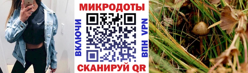Псилоцибиновые грибы мухоморы  Купить закладки  Колпашево 